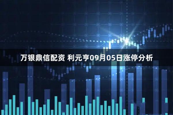 万银鼎信配资 利元亨09月05日涨停分析